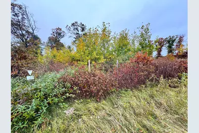 Tbd State Highway 371, Brainerd, MN 56401 - Photo 15