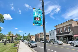 1009 Legacy Dr, Delano, MN 55328 - Photo 31