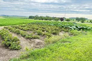 17021 470th St, Pelican Rapids, MN 56572 - Photo 47