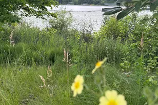 31044 Acorn Lake Rd, Frazee, MN 56544 - Photo 25