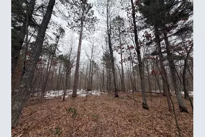 Xxxxx County Rd H, Scott Township, WI 54830 - Photo 3