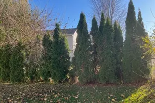 806 103rd Ave NE, Blaine, MN 55434 - Photo 9