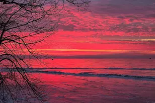 44461 Conifer St, Aitkin, MN 56431 - Photo 33