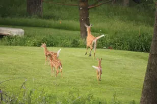 1465 Island Dr, Golden Valley, MN 55422 - Photo 81