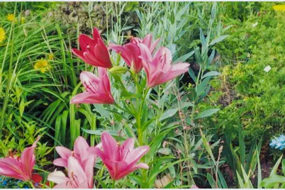 112 Elbert Drive, Rice Lake, WI 54829 - Photo 43