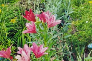 112 Elbert Dr, Rice Lake, WI 54868 - Photo 41