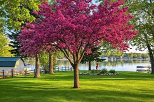 2602 210th Ave, Mora, MN 55051 - Photo 11