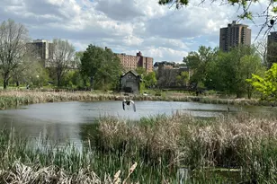 301 Oak Grove St, Minneapolis, MN 55403 - Photo 57