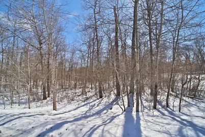 Tbd Percheron Drive, Breezy Point, MN 56472 - Photo 5