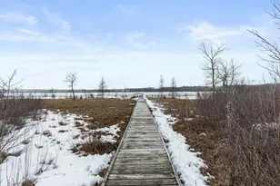 1899 Fern Trail NE, Remer, MN 56672 - Photo 43