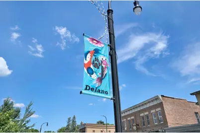 897 Big Woods Drive, Delano, MN 55328 - Photo 57