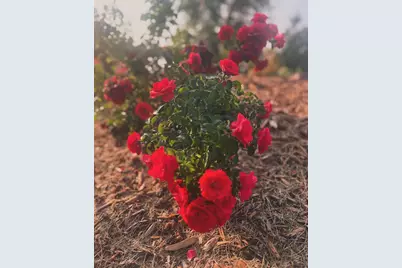 875 161st Street, Hammond, WI 54015 - Photo 51