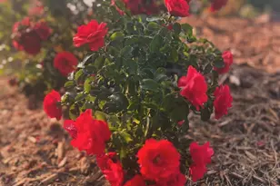 875 161st St, Hammond, WI 54015 - Photo 51