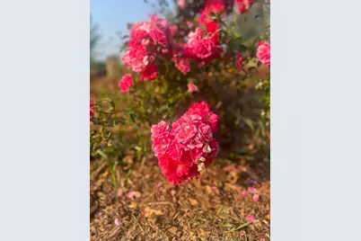 875 161st Street, Hammond, WI 54015 - Photo 77