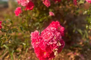 875 161st St, Hammond, WI 54015 - Photo 77