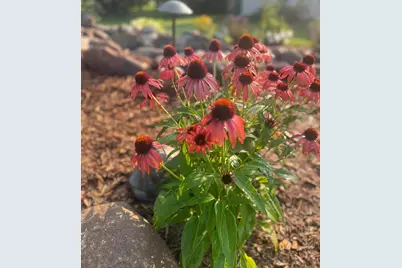 875 161st Street, Hammond, WI 54015 - Photo 79