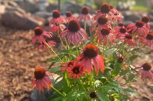 875 161st St, Hammond, WI 54015 - Photo 79