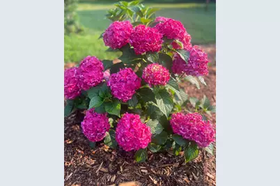 875 161st Street, Hammond, WI 54015 - Photo 73