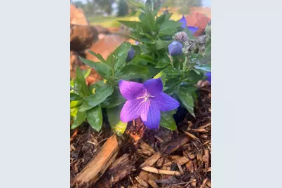 875 161st Street, Hammond, WI 54015 - Photo 71