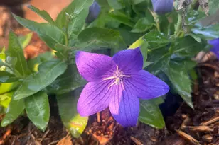 875 161st St, Hammond, WI 54015 - Photo 71