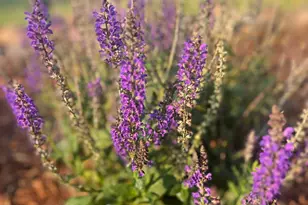 875 161st St, Hammond, WI 54015 - Photo 83