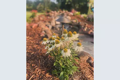 875 161st Street, Hammond, WI 54015 - Photo 49