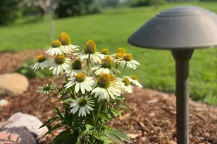 875 161st St, Hammond, WI 54015 - Photo 69