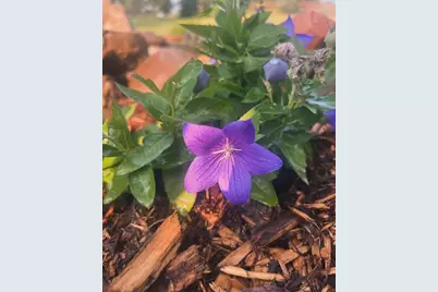 875 161st Street, Hammond, WI 54015 - Photo 55