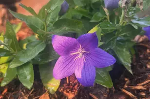 875 161st St, Hammond, WI 54015 - Photo 55