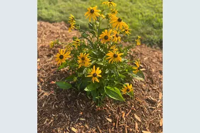 875 161st Street, Hammond, WI 54015 - Photo 75