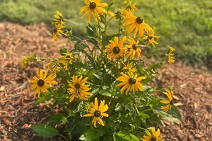 875 161st St, Hammond, WI 54015 - Photo 75