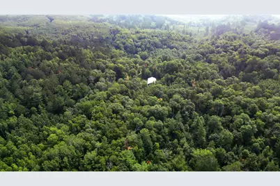 Tbd Co Hwy 39, Osage Township, MN 56570 - Photo 7