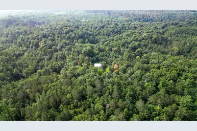 Tbd Co Hwy 39, Osage Township, MN 56570 - Photo 5