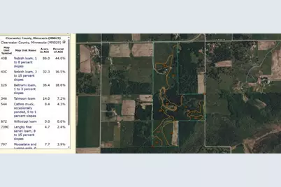 21601 300th Street, Bagley, MN 56621 - Photo 81