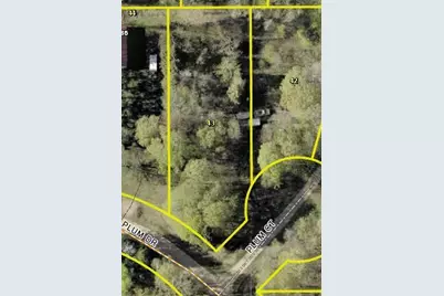 Tbd Plum Drive, Browerville, MN 56438 - Photo 11