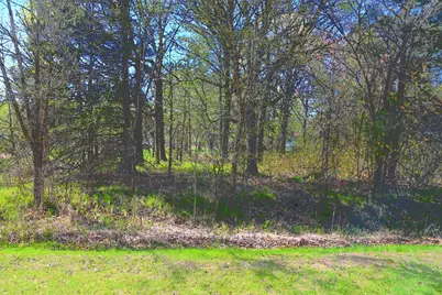 Tbd Plum Drive, Browerville, MN 56438 - Photo 3