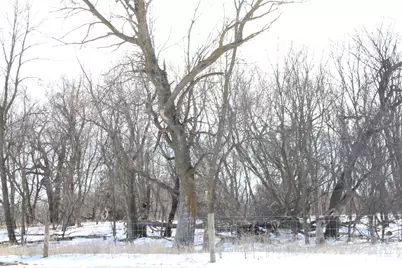 10142 225th Street, Silver Lake, MN 55381 - Photo 23