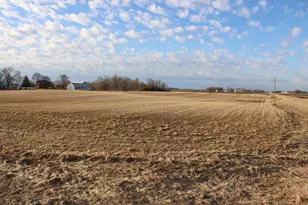 10142 225th St, Silver Lake, MN 55381 - Photo 19