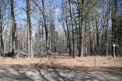 38970 Odin Court, Browerville, MN 56438 - Photo 1