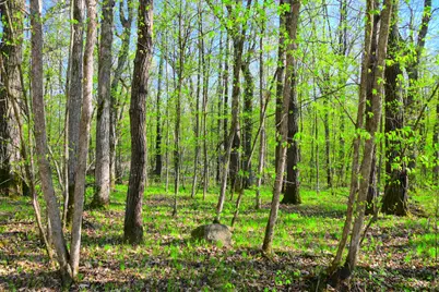 27152 Ode Circle, Browerville, MN 56438 - Photo 19