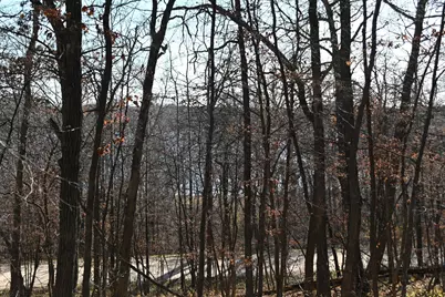 Tbd 392 Street, Fawn Lake Township, MN 56438 - Photo 13