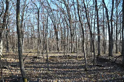 Tbd 392 Street, Fawn Lake Township, MN 56438 - Photo 7