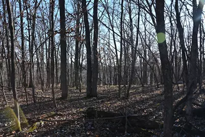 Tbd 392 Street, Fawn Lake Township, MN 56438 - Photo 9