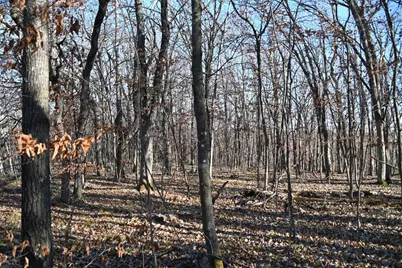 Tbd 392 Street, Fawn Lake Township, MN 56438 - Photo 5