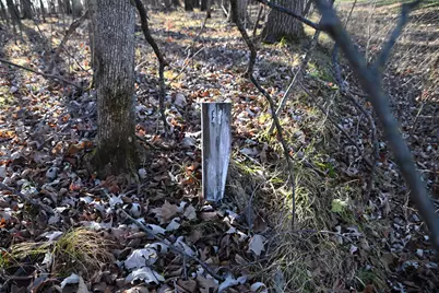 Tbd 392 Street, Fawn Lake Township, MN 56438 - Photo 11