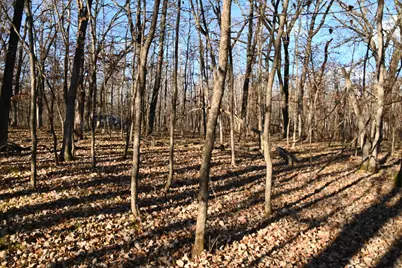 Tbd 392 Street, Fawn Lake Township, MN 56438 - Photo 15