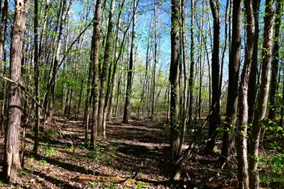 39924 Oriole Court, Browerville, MN 56438 - Photo 13