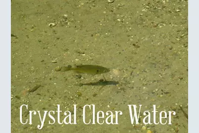 39924 Oriole Court, Browerville, MN 56438 - Photo 29