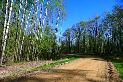 39924 Oriole Court, Browerville, MN 56438 - Photo 17