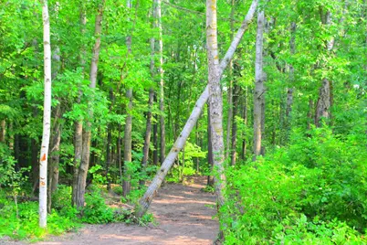 39924 Oriole Court, Browerville, MN 56438 - Photo 11